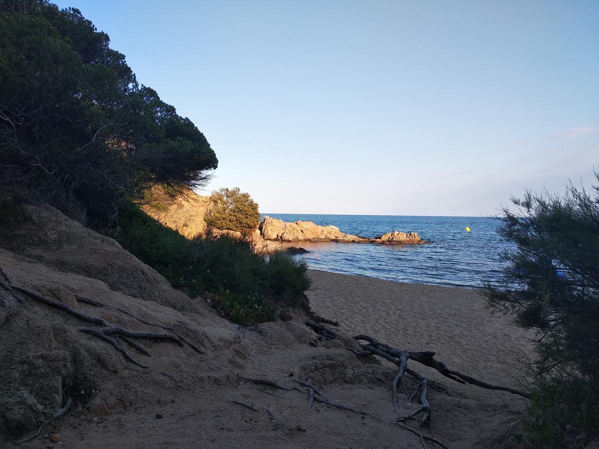 Can Cocollona Girona Dış mekan fotoğraf